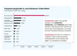 Versele Start Plus I.C.⁺ 20kg -Haus Tier Verkauf antioxidantien 19