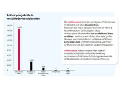 Versele Start Plus I.C.⁺ 20kg -Haus Tier Verkauf antioxidantien 29