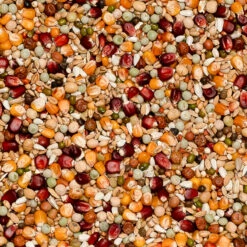 Beyers Premium Jelle Jellema 20kg