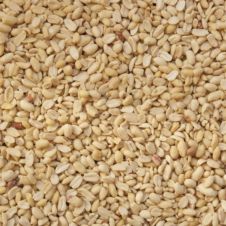 Haus Tier Verkauf -Haus Tier Verkauf erdnsse weiss