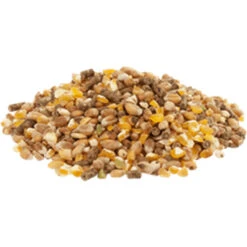 Versele Gold 4 Mix 20kg -Haus Tier Verkauf gold4mixl