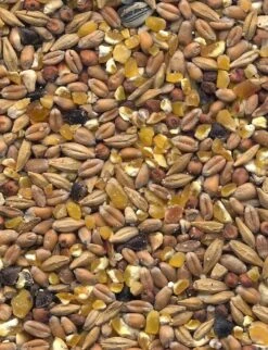 Havens Scharrel-Graan - Körnerfutter 25kg -Haus Tier Verkauf graanmengelingenscharrelgraan