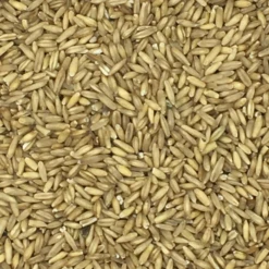 Haferkerne - Vanrobaeys 25kg