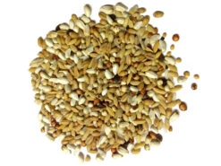 Paloma Nr.19 Diamond Diät 20kg