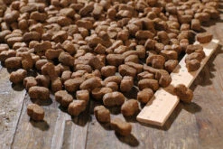 Bewi Dog Junior 12,5kg -Haus Tier Verkauf rs2899 junior kroketten lineal img 1767b klein