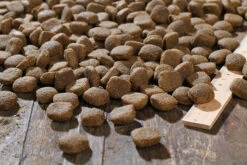 Bewi Dog H-Energy 25kg -Haus Tier Verkauf rs2910 h energy kroketten lineal img 1786b klein