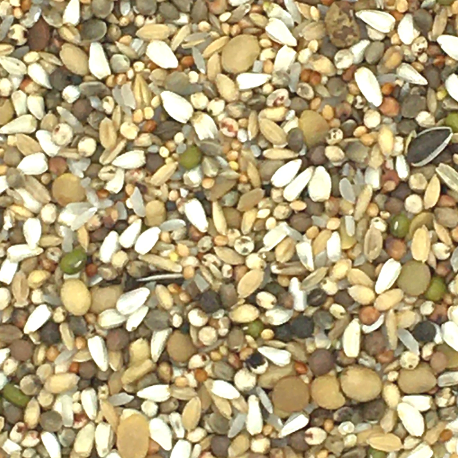 Vanrobaeys Nr.188 Protein Premium Power 20kg 3 Vanrobaeys Nr.188 Protein Premium Power 20kg