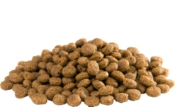 Versele Floating Ibis 2er-Pack 30kg -Haus Tier Verkauf versele floating ibis inhalt0