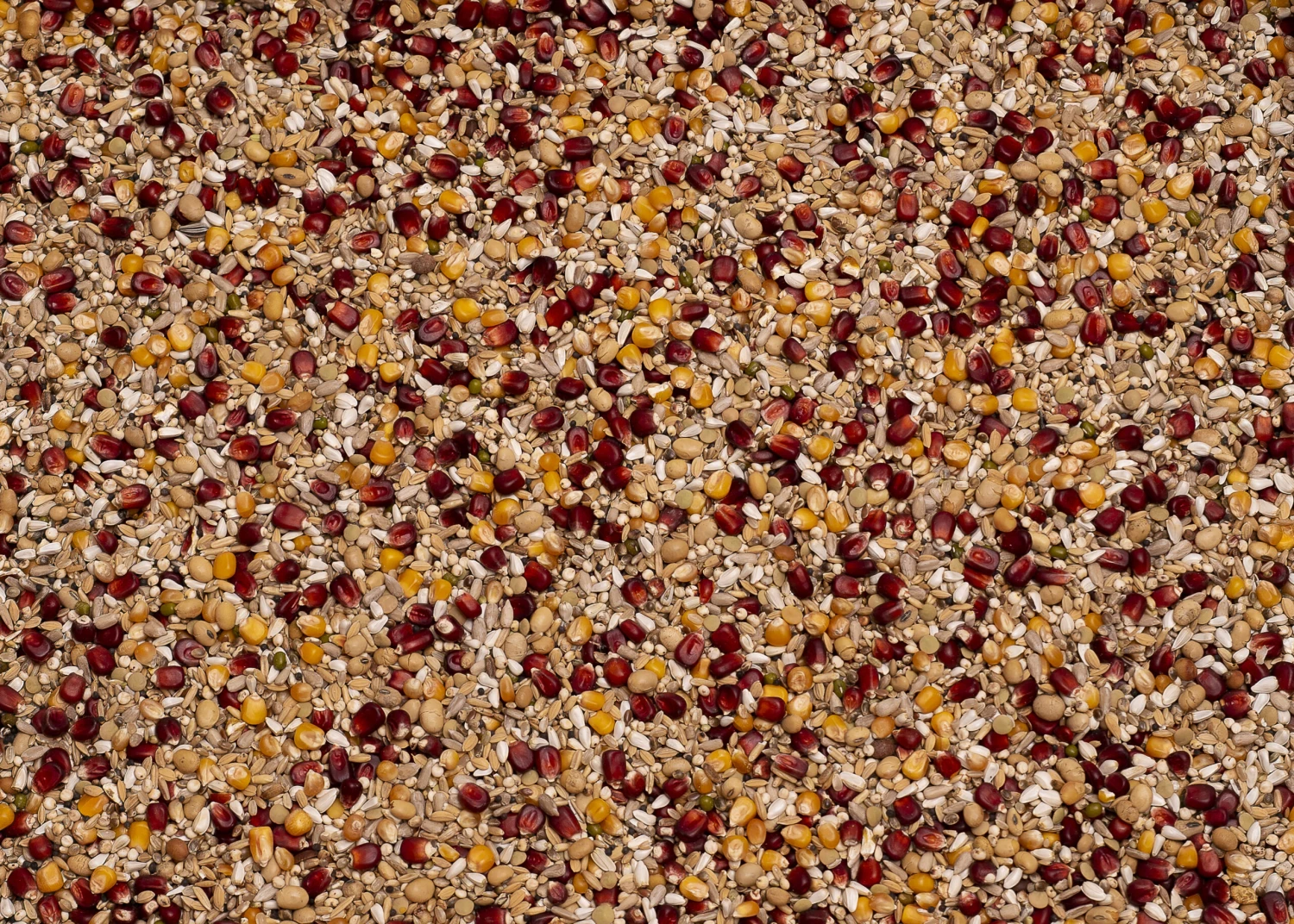 Haus Tier Verkauf -Haus Tier Verkauf zaad 004510 original enzymix power scaled 1